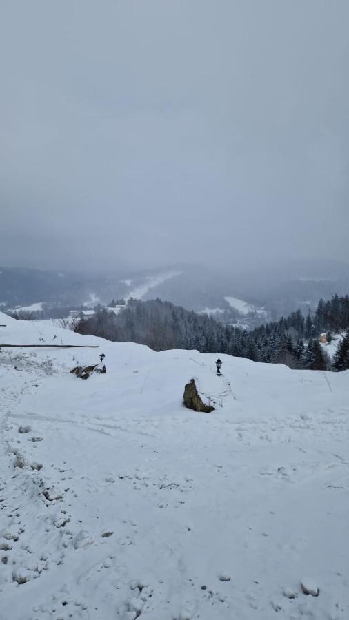 Aparthotel Rezydencja Nad Potoczkiem Weichsel Exterior foto